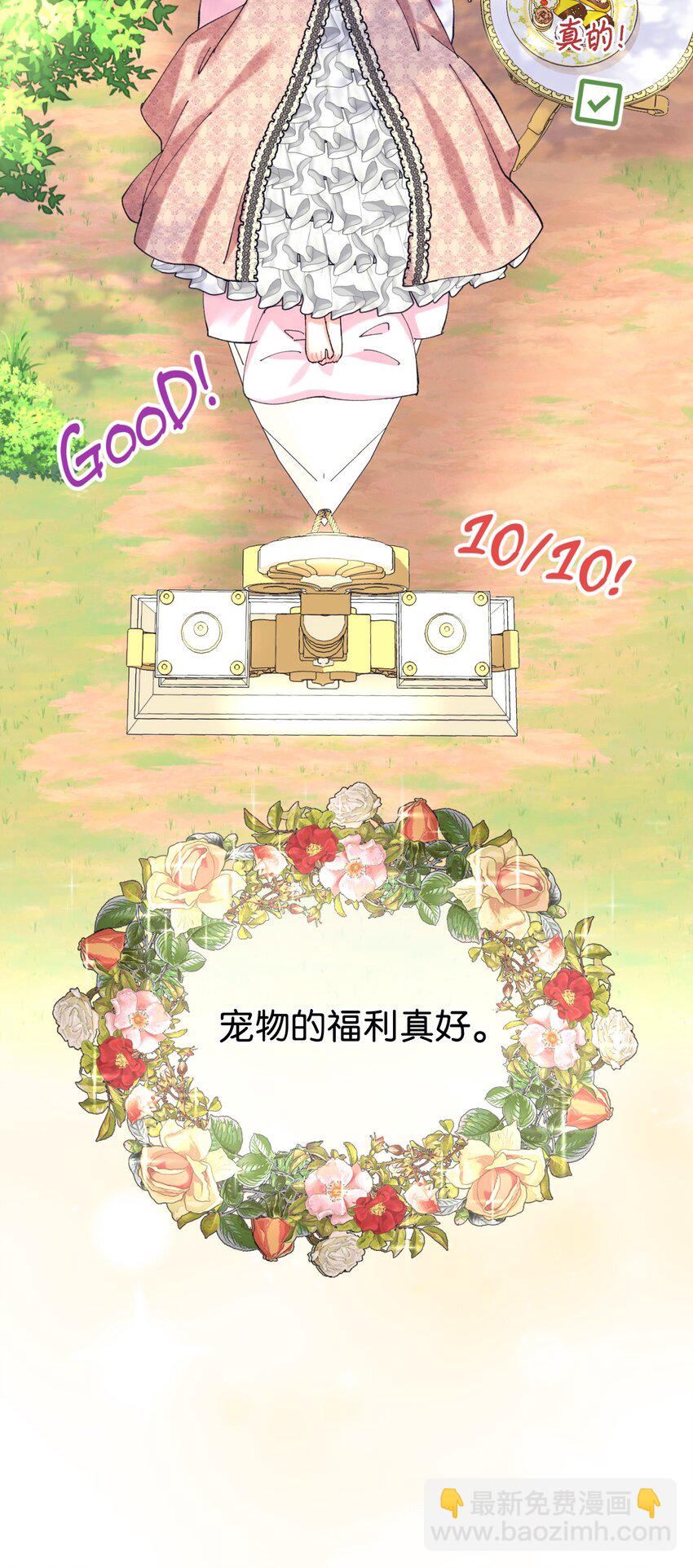 08 小狗小姐失踪了(1/2)-第8话