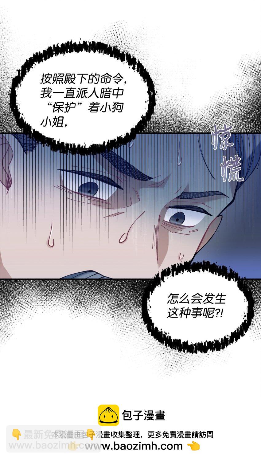 08 小狗小姐失踪了(1/2)-第8话