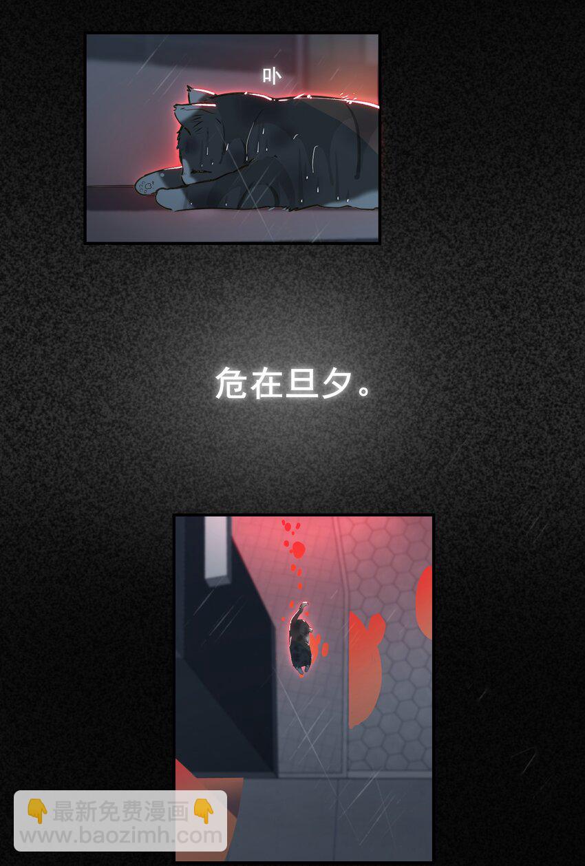 003 杀人现场？！(1/2)-第4话