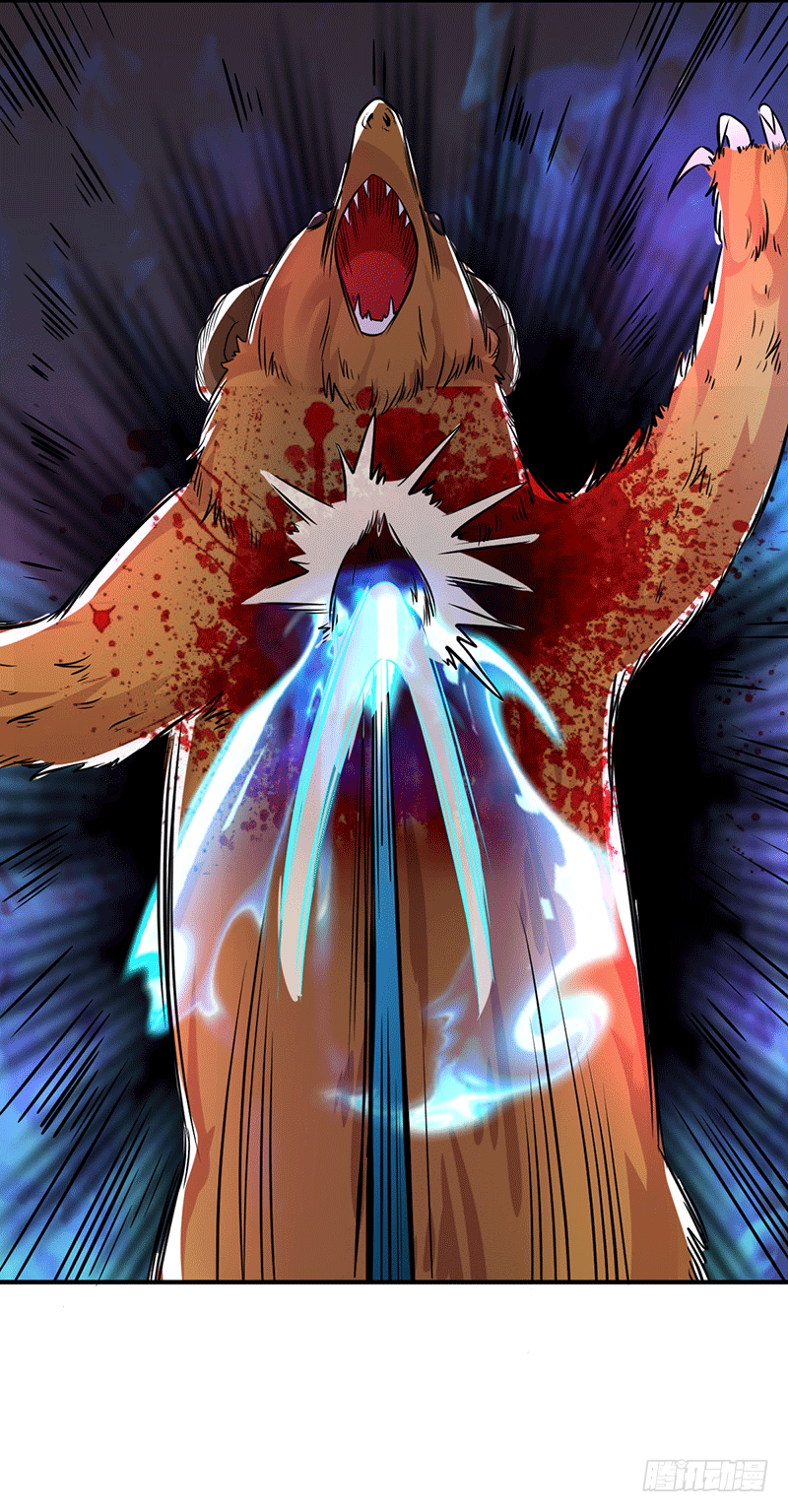 上等食材-第8话