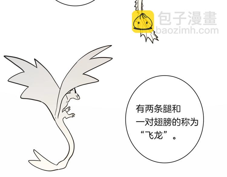 我有一隻三星龍 - 第43話 龍的分類(1/3) - 6