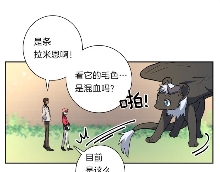 我有一隻三星龍 - 第43話 龍的分類(2/3) - 1