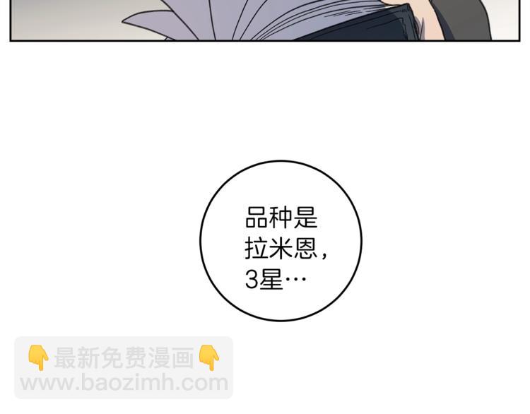 我有一隻三星龍 - 第5話 學院(1/2) - 1