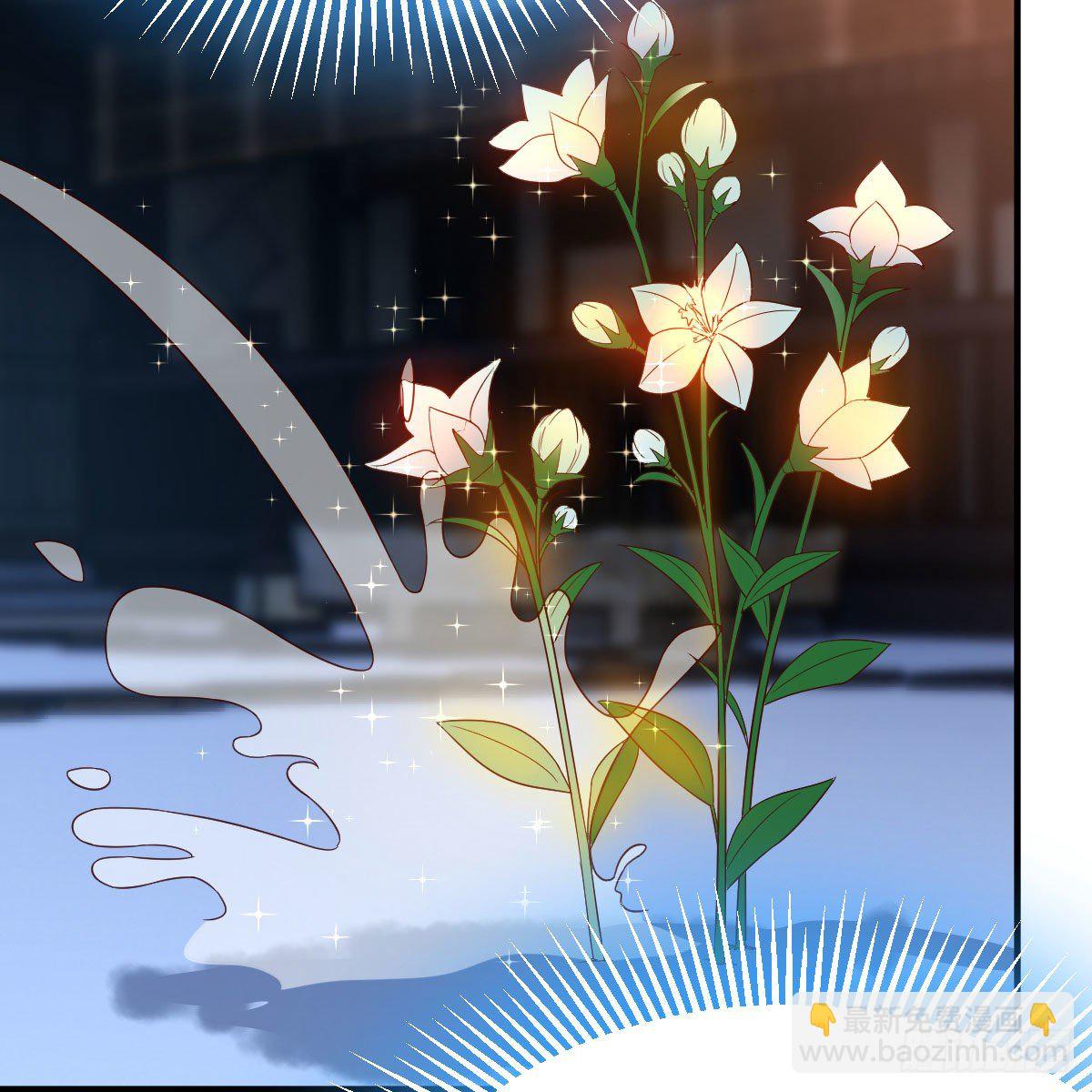 我有元嬰NB症（元嬰有點多） - 鬼血藤(1/2) - 2