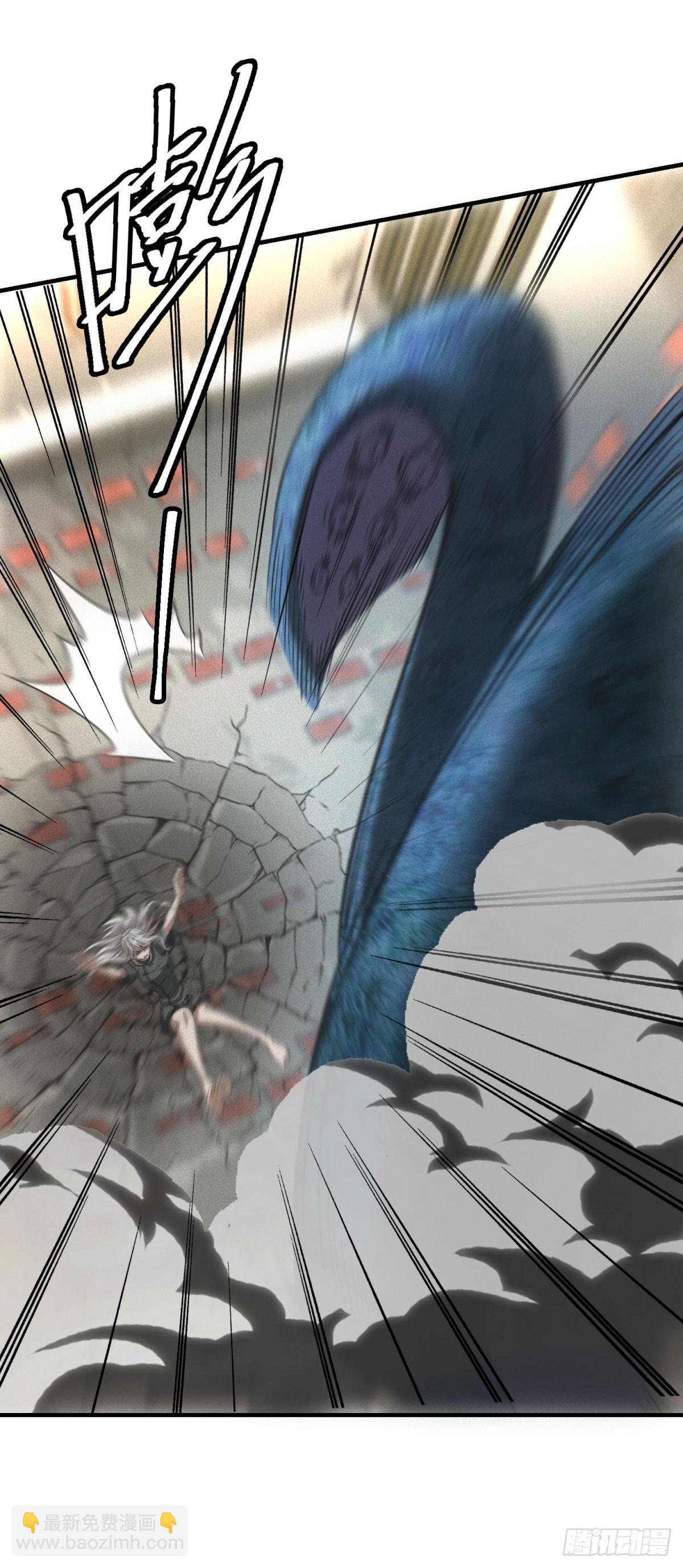 第14话 巨型章鱼-第14话