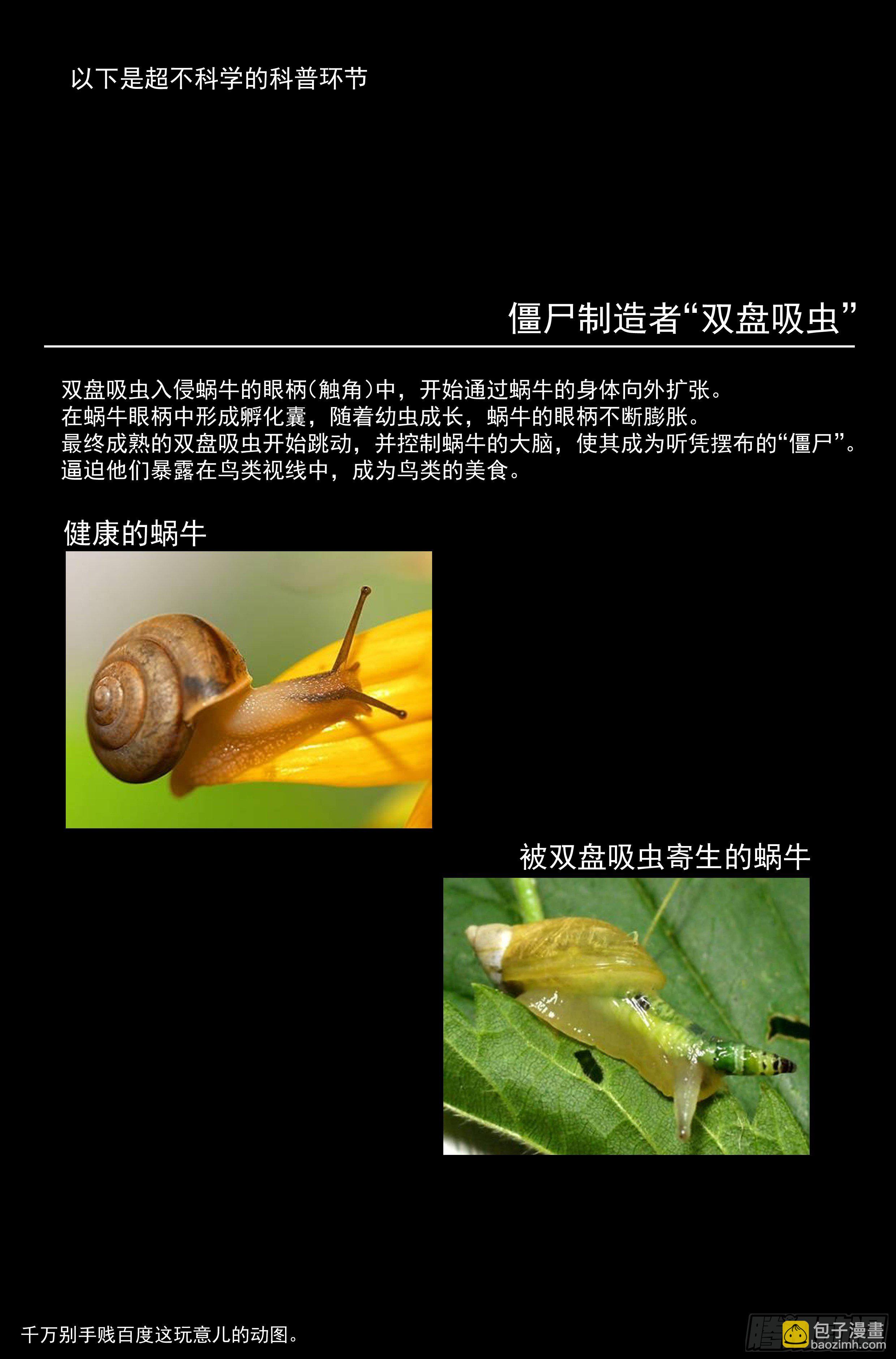 50.勇气默示录（上篇）-第52话