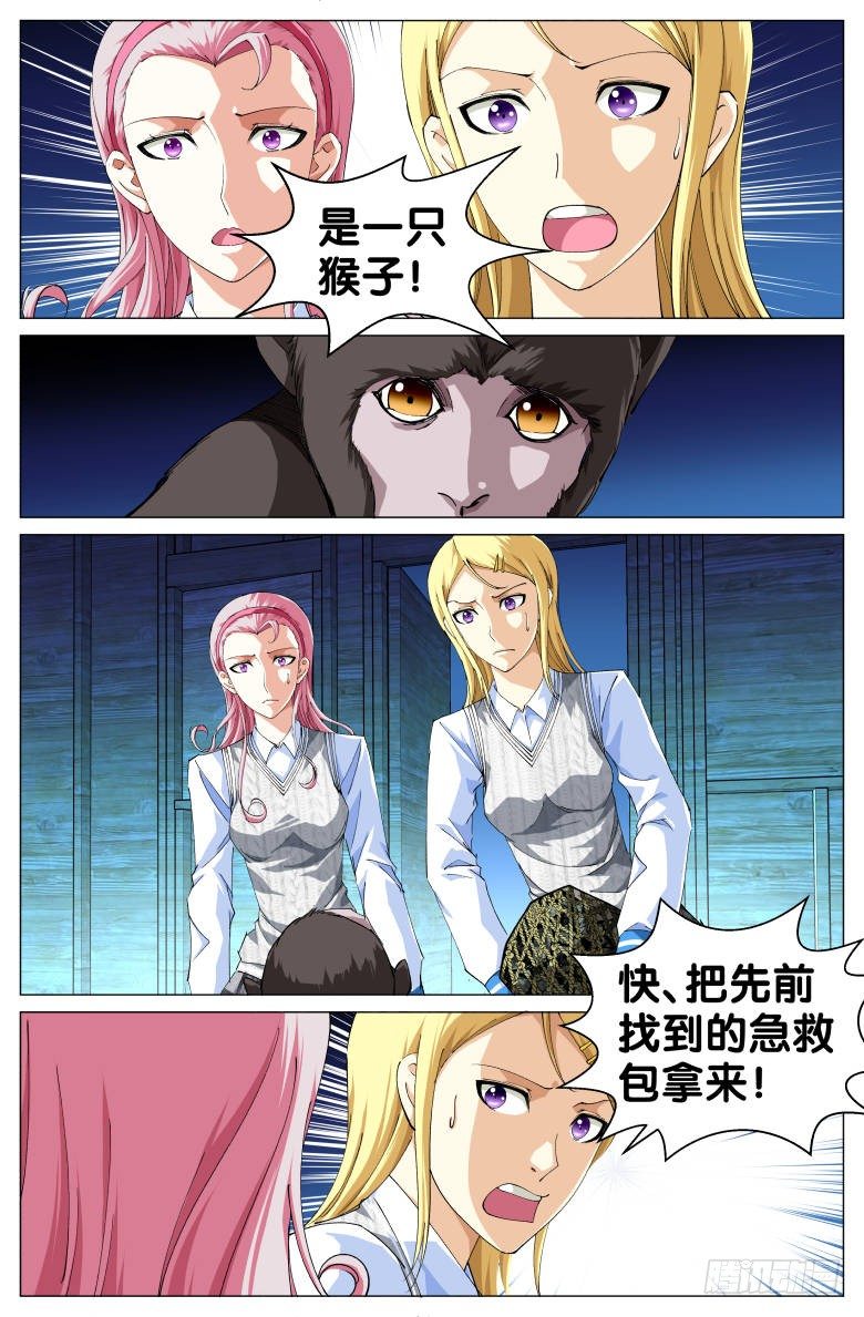 第50话：小灰-第50话