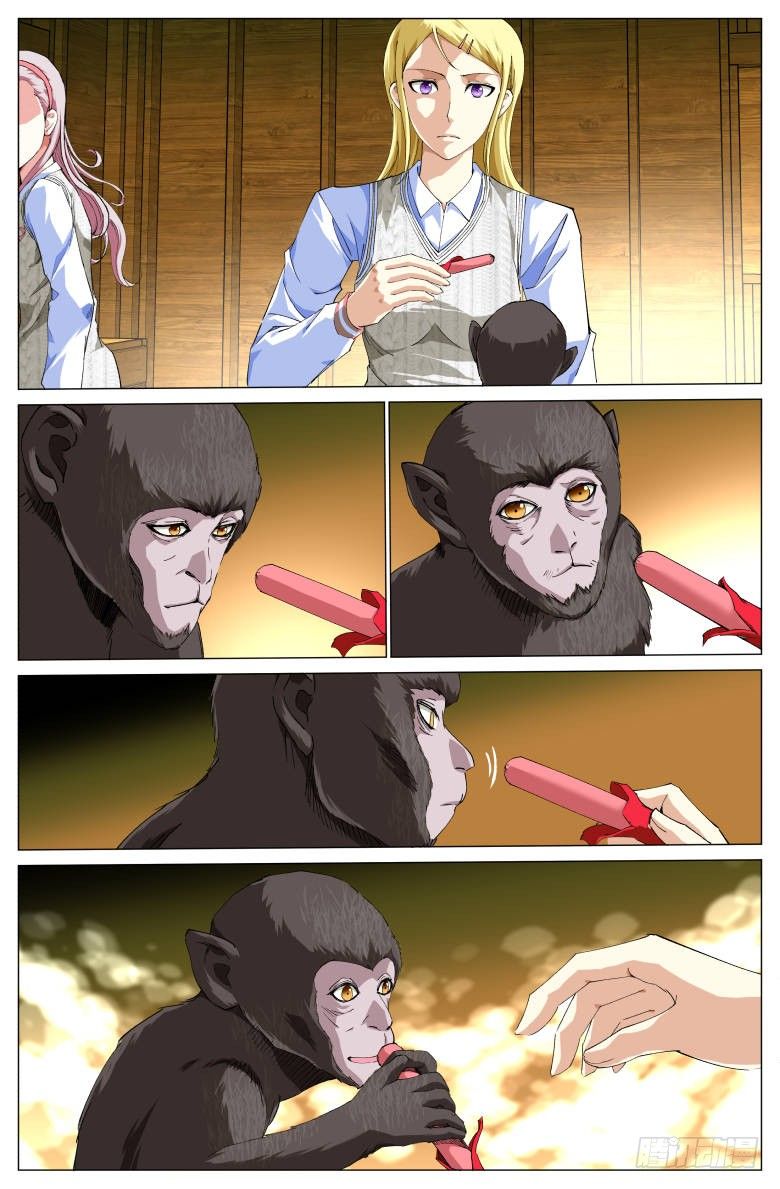 第50话：小灰-第50话