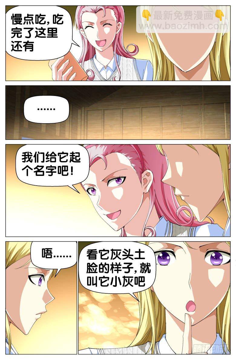 第50话：小灰-第50话