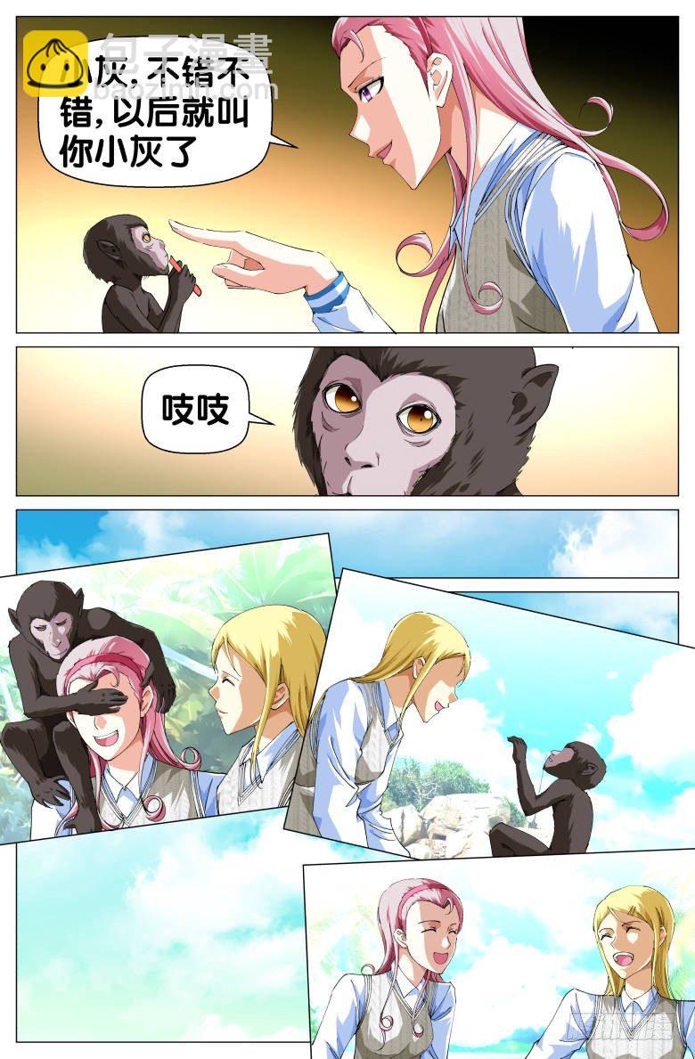 第50话：小灰-第50话