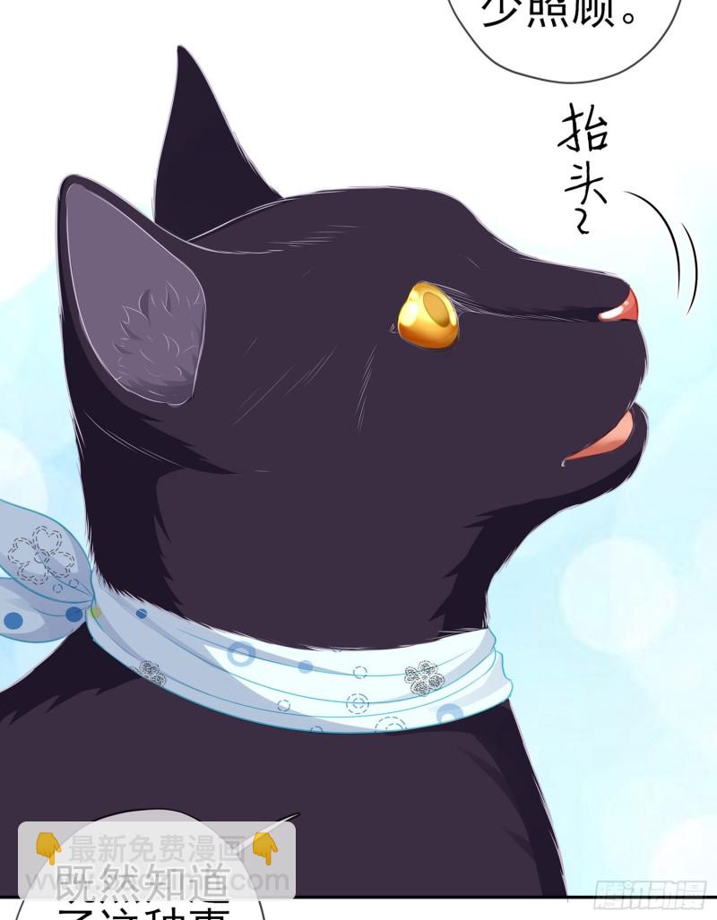 感兴趣么（下）(1/2)-第168话