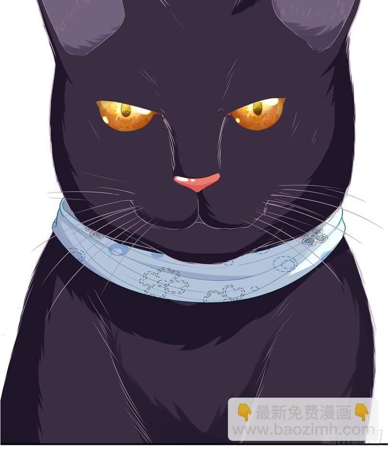 感兴趣么（下）(1/2)-第168话