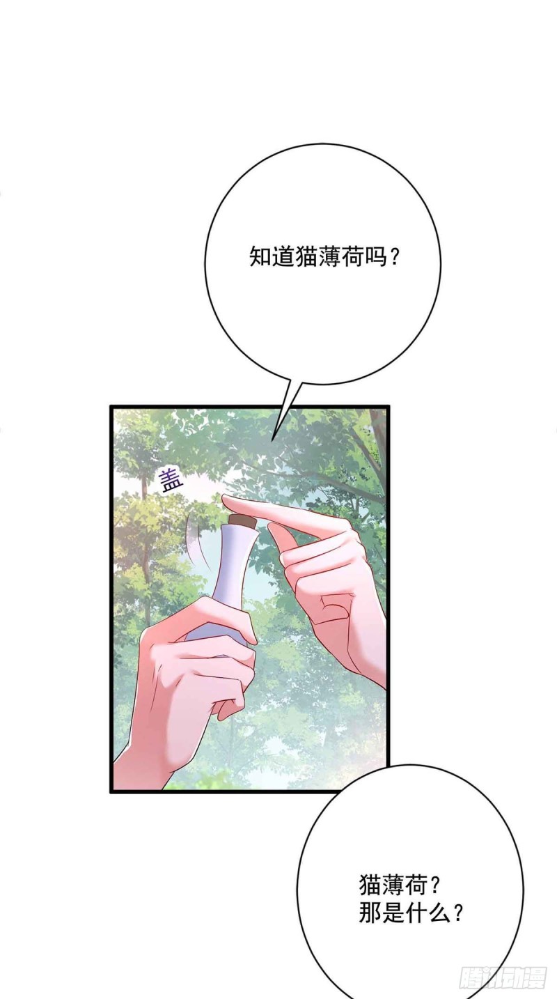 我在異界養男神：神醫九小姐 - 第109話 二級靈獸 - 1