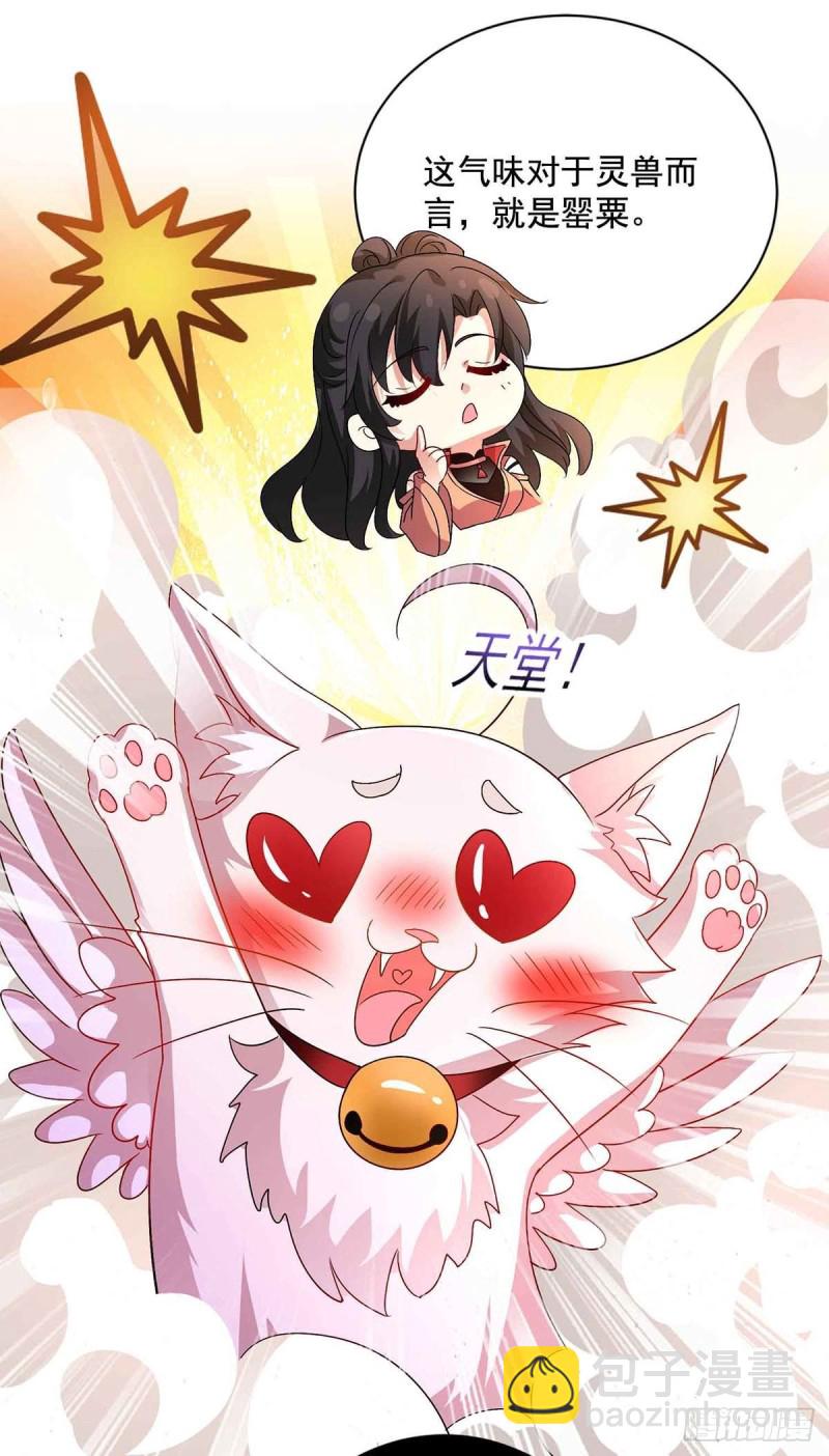 我在異界養男神：神醫九小姐 - 第109話 二級靈獸 - 3