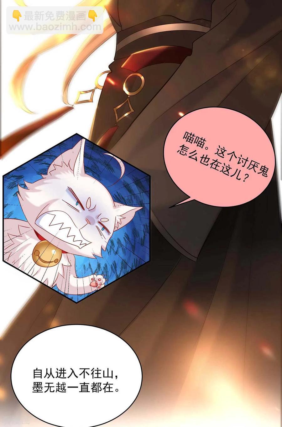 我在異界養男神：神醫九小姐 - 第111話 墨無越來歷 - 6