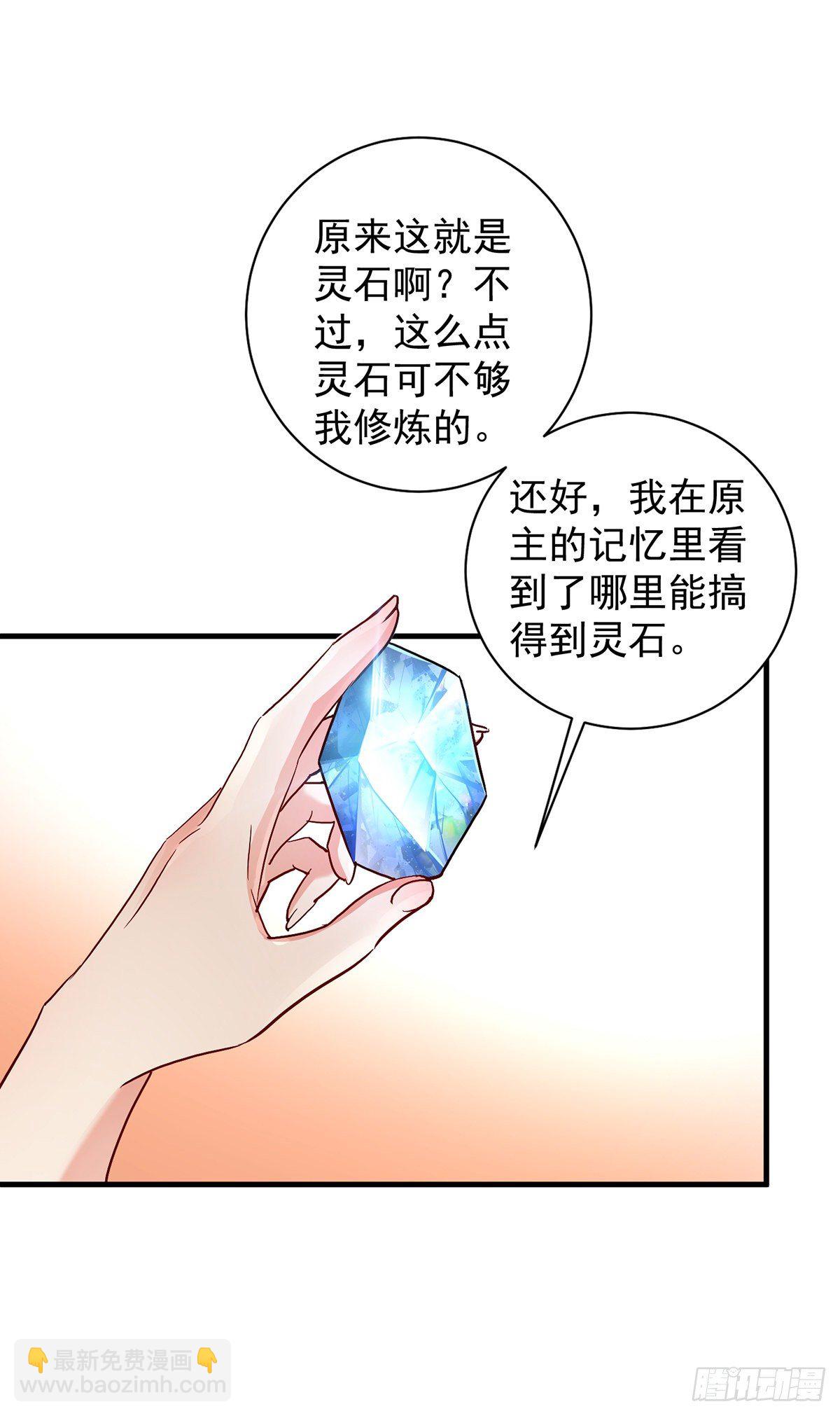 我在異界養男神：神醫九小姐 - 第23話 去往賞石會 - 5