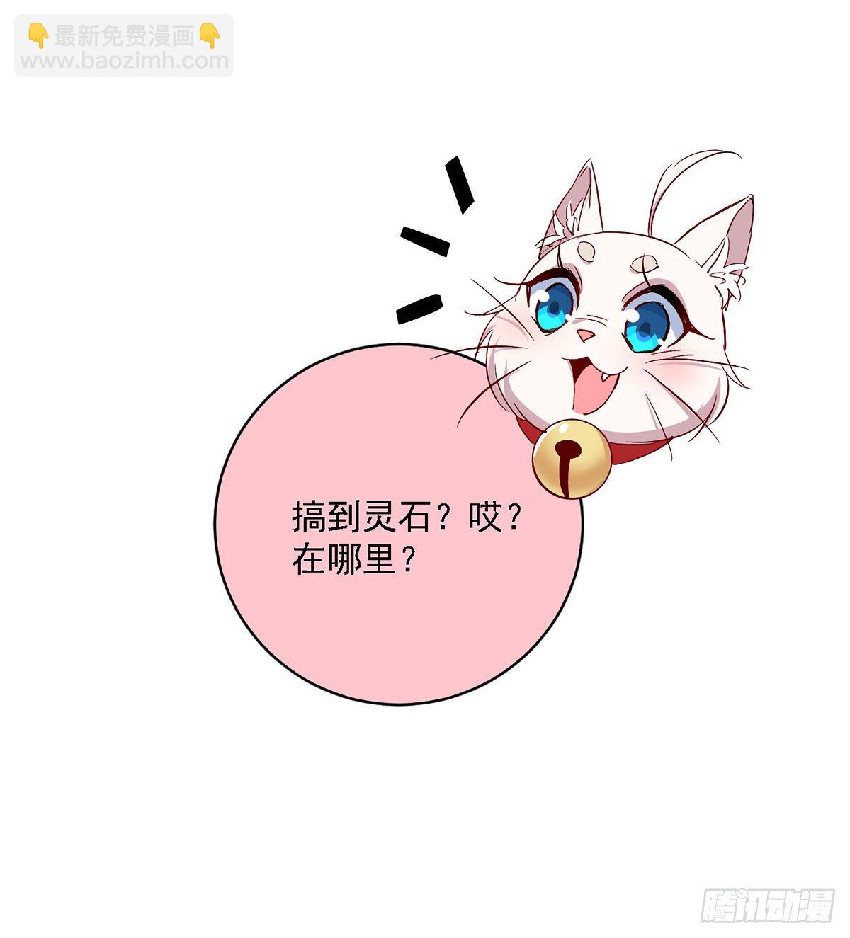 我在異界養男神：神醫九小姐 - 第23話 去往賞石會 - 1