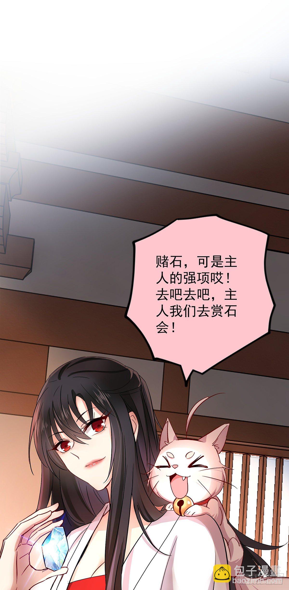 我在異界養男神：神醫九小姐 - 第23話 去往賞石會 - 3