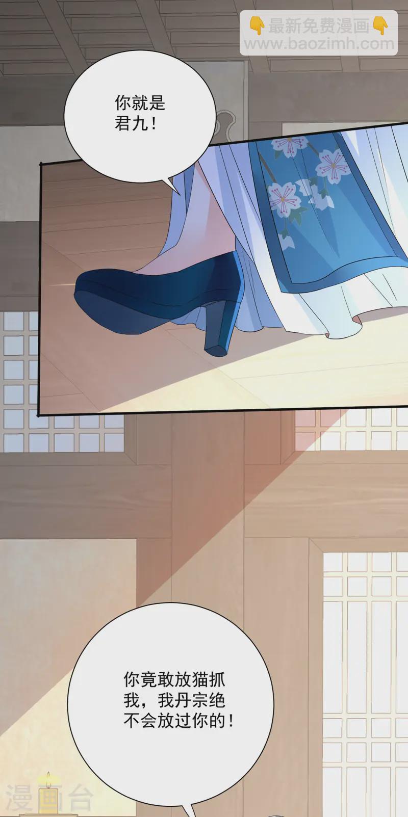 我在異界養男神：神醫九小姐 - 第255話 一個小丑 - 4