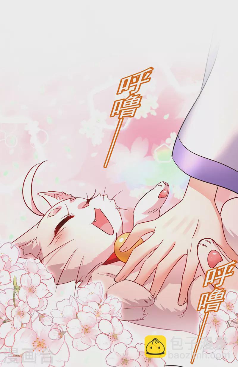 我在異界養男神：神醫九小姐 - 第63話 修煉瓶頸 - 6