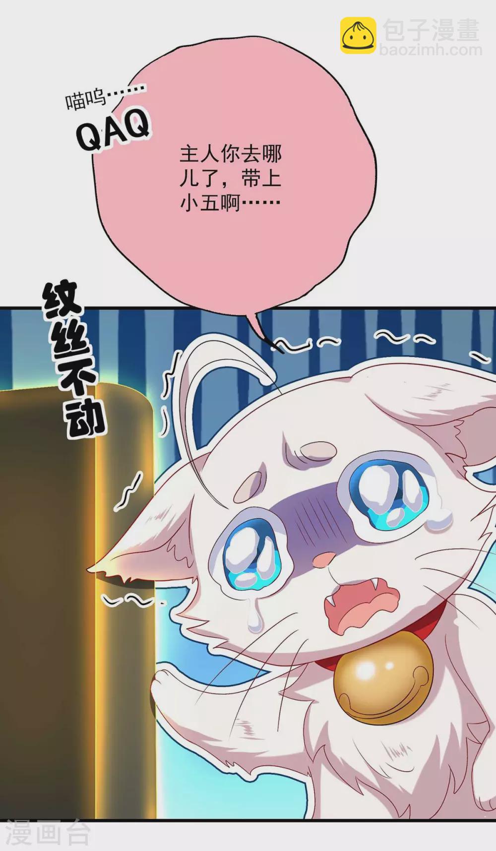 我在異界養男神：神醫九小姐 - 第97話 傳承 - 6