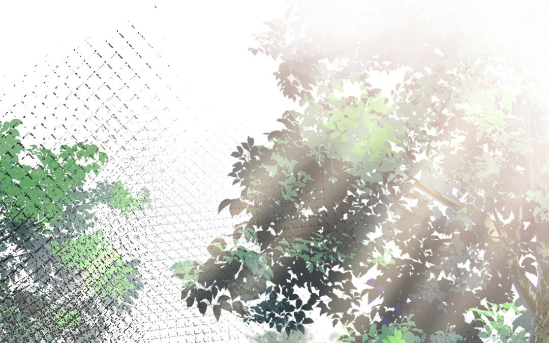 第一话 那美好的回忆(1/4)-第2话