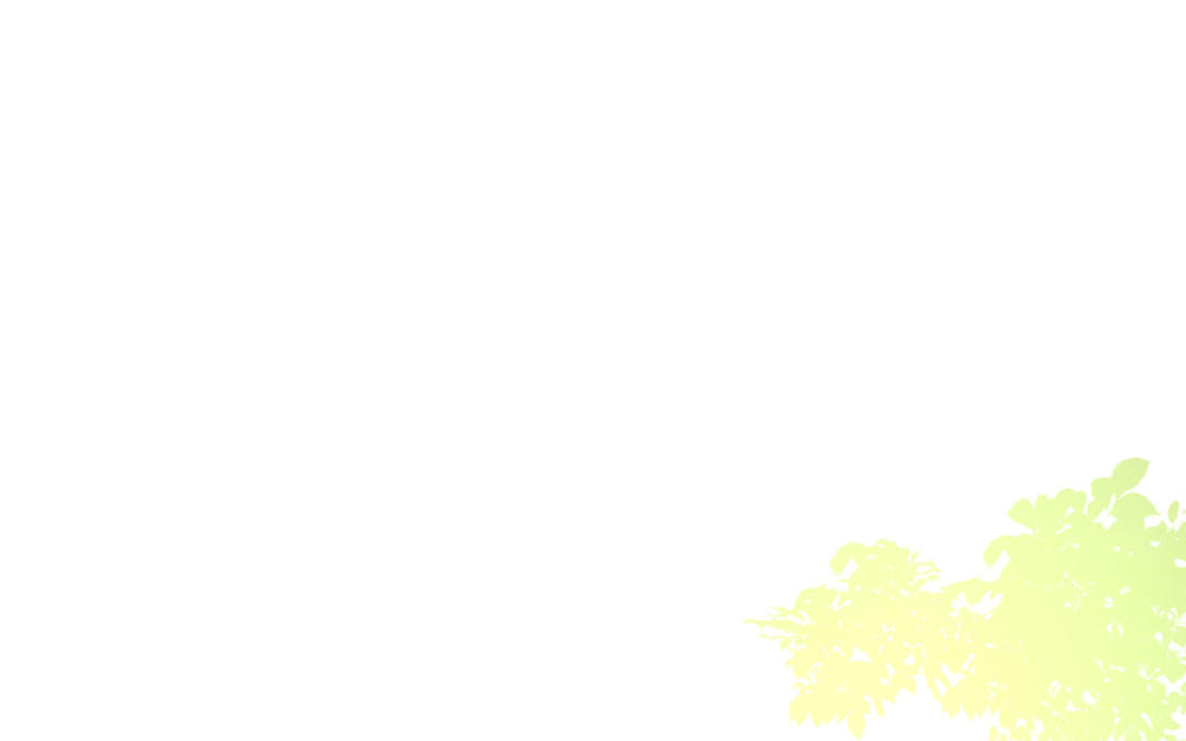 第二十一话 青梅竹马(1/3)-第22话