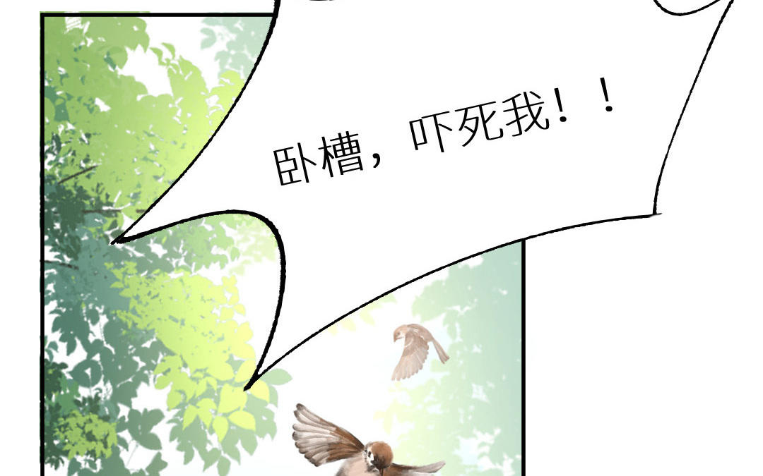 第七话 卧槽，帅爆了(1/2)-第8话