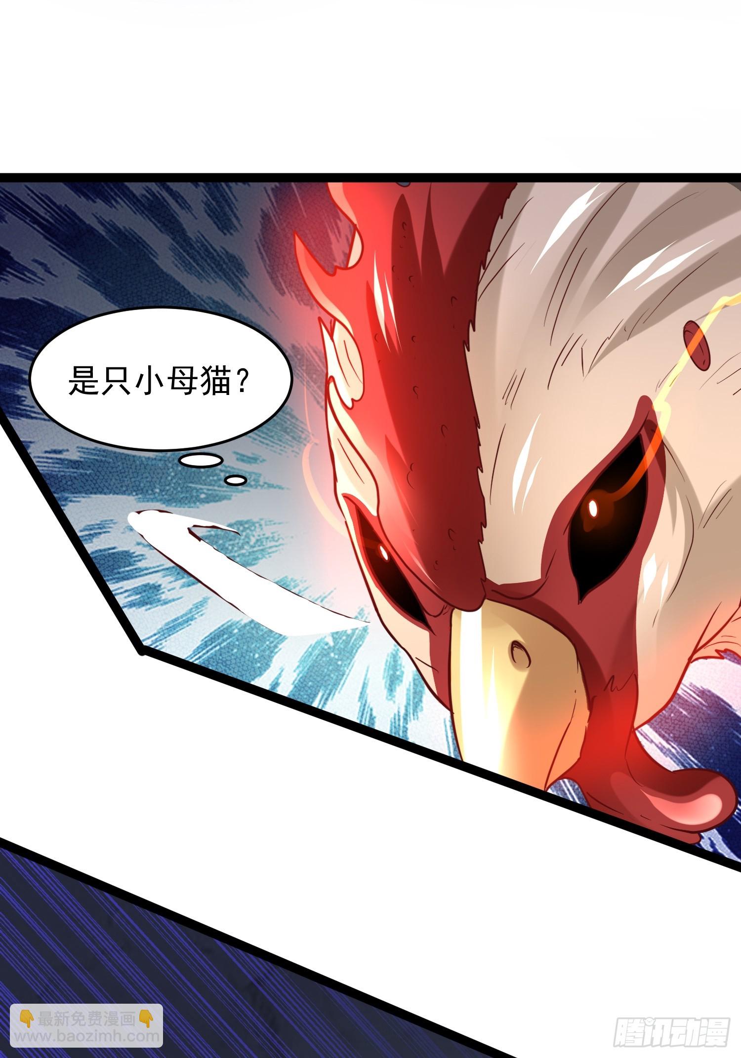 第7话 白虎为宠(1/2)-第8话