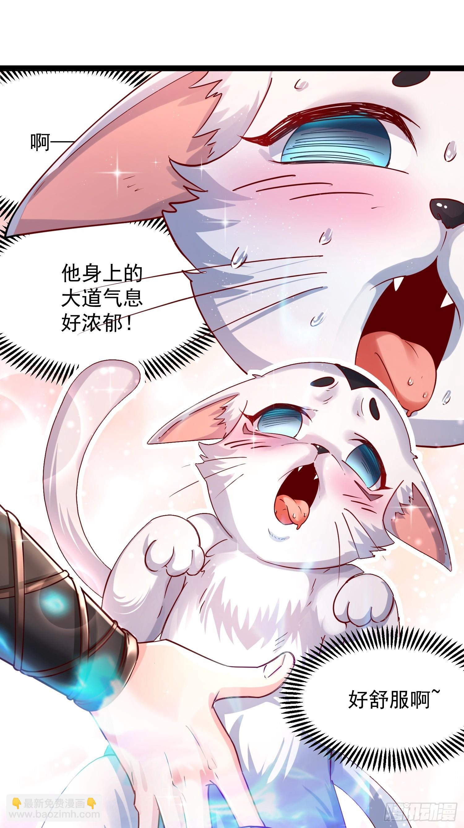 第7话 白虎为宠(1/2)-第8话