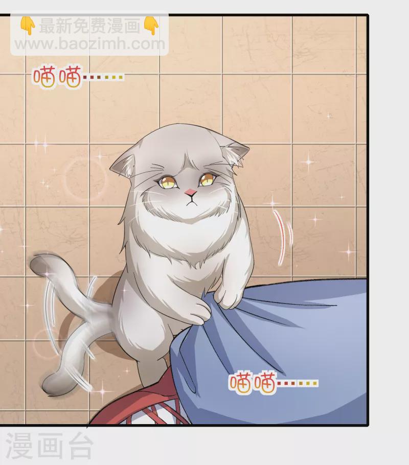 第36话 特殊的爱好-第42话