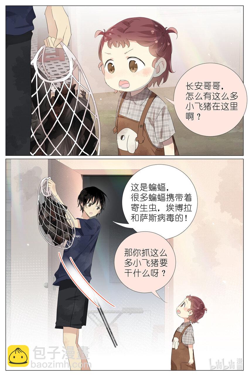 077 小飞猪-第84话