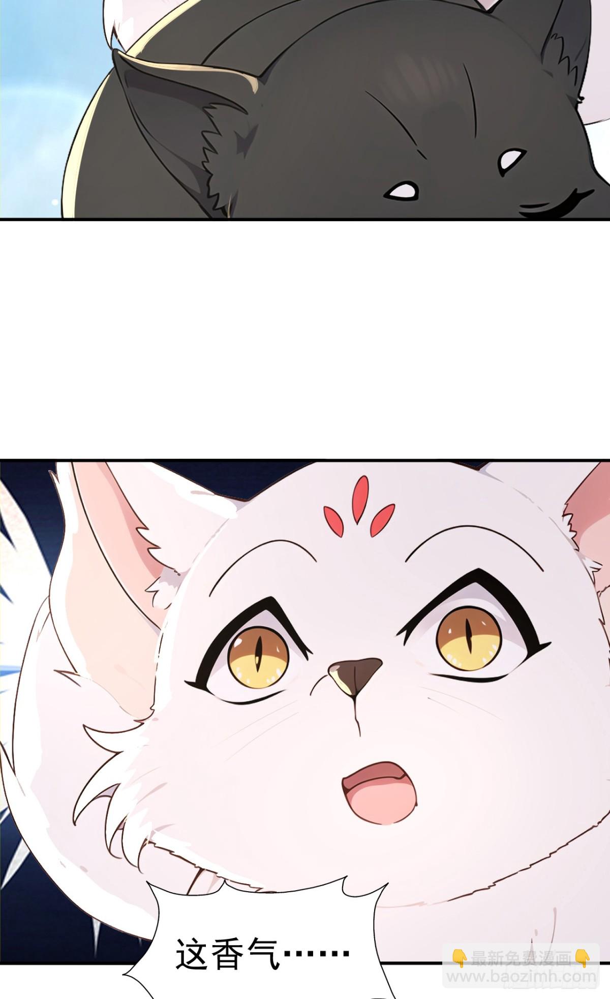 第105话 八戒果然神勇-第108话