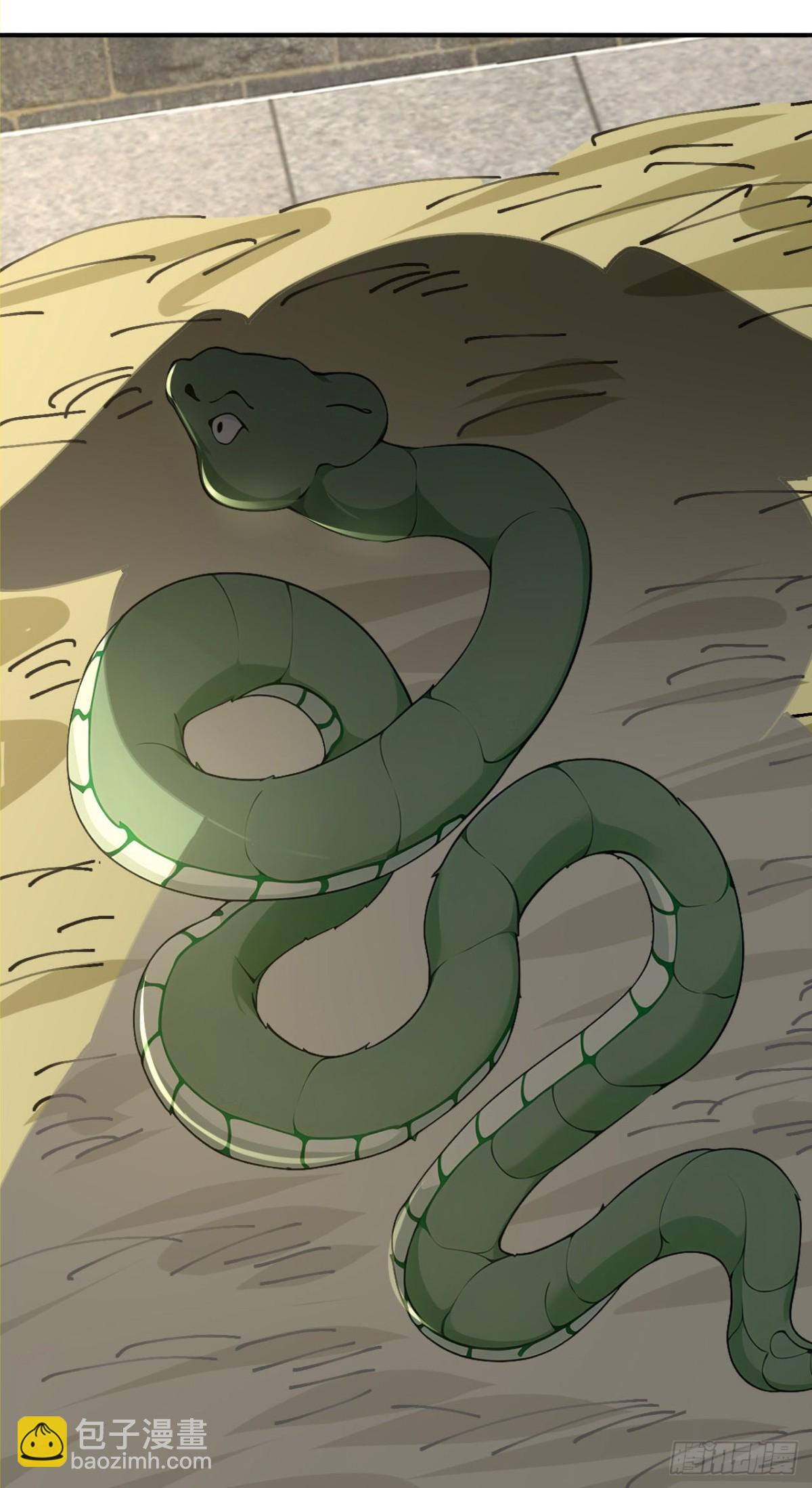 第105话 八戒果然神勇-第108话