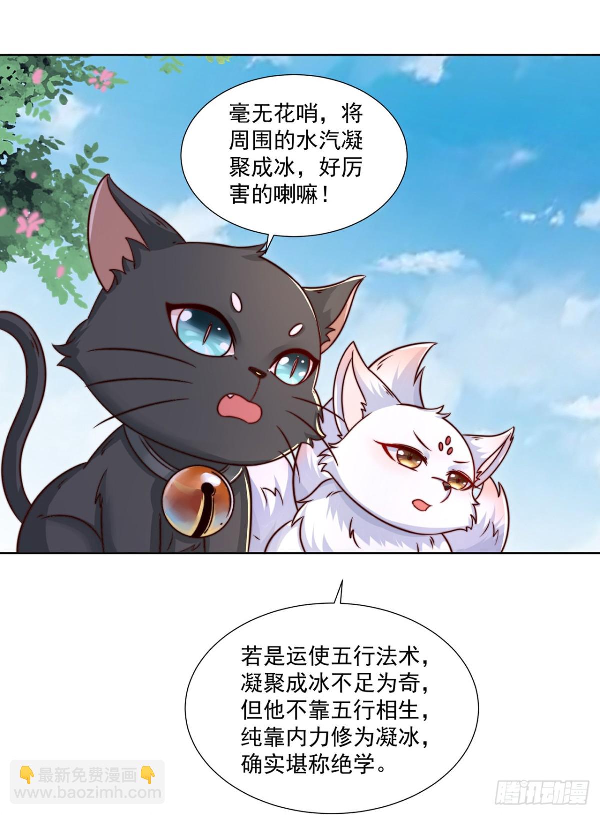 第77话 汪汪队立大功-第80话