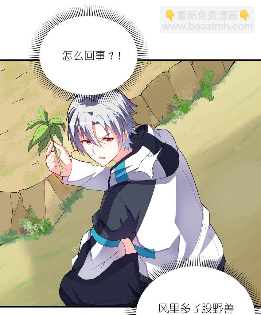 我只有兩千五百歲 - 020 獸潮(1/2) - 4