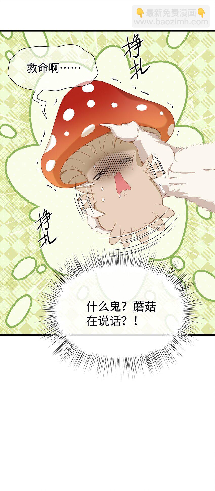 14 蘑菇会说话？-第14话