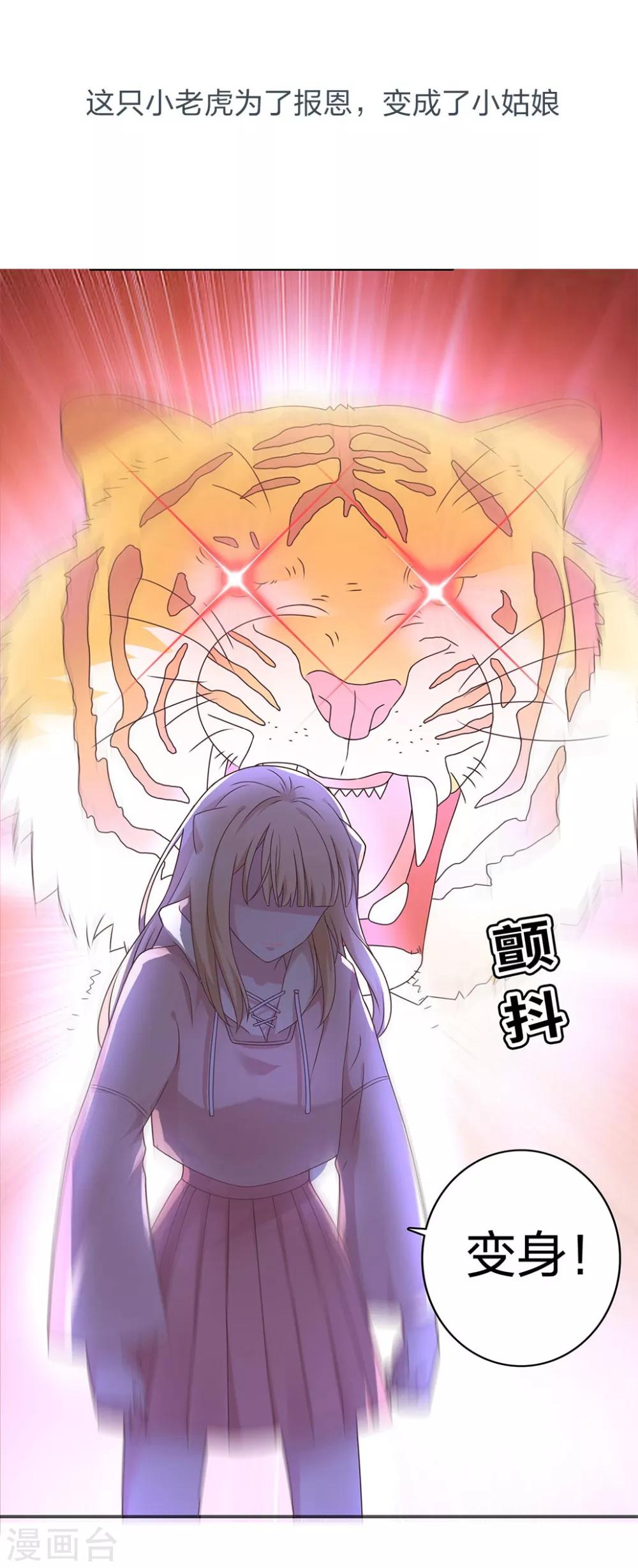 第20话 老虎饲养指南-第20话