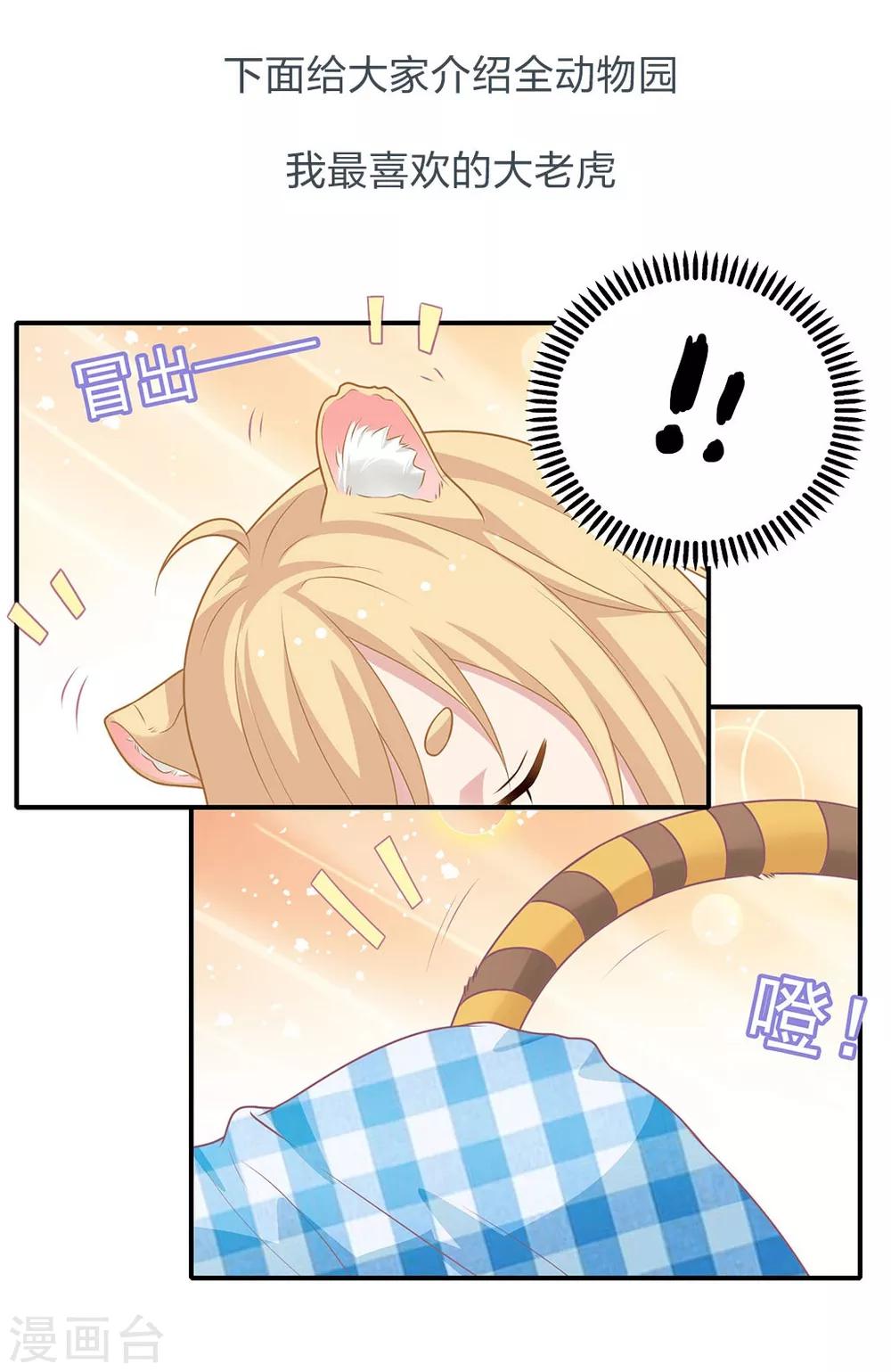 第20话 老虎饲养指南-第20话