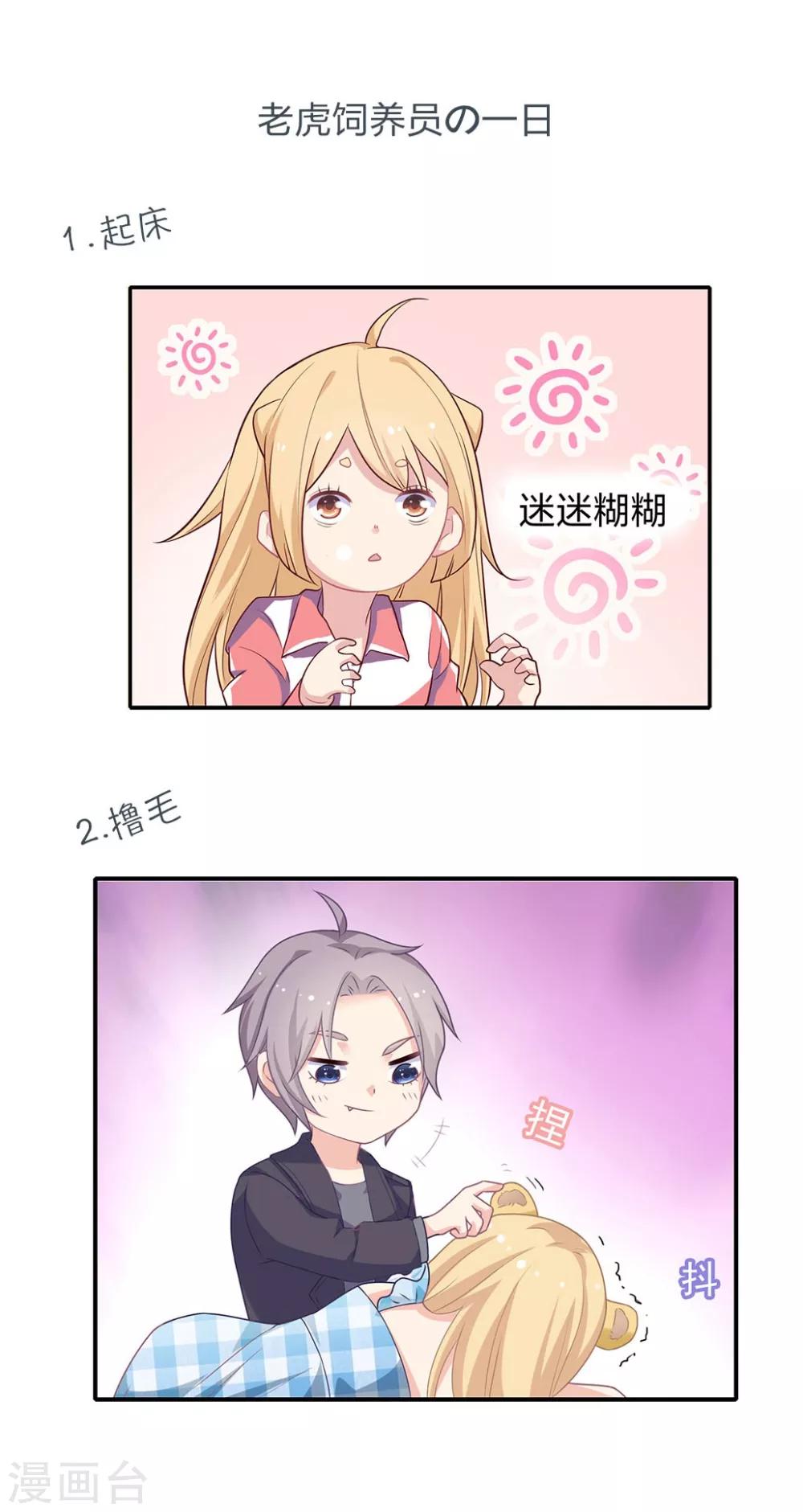 第20话 老虎饲养指南-第20话