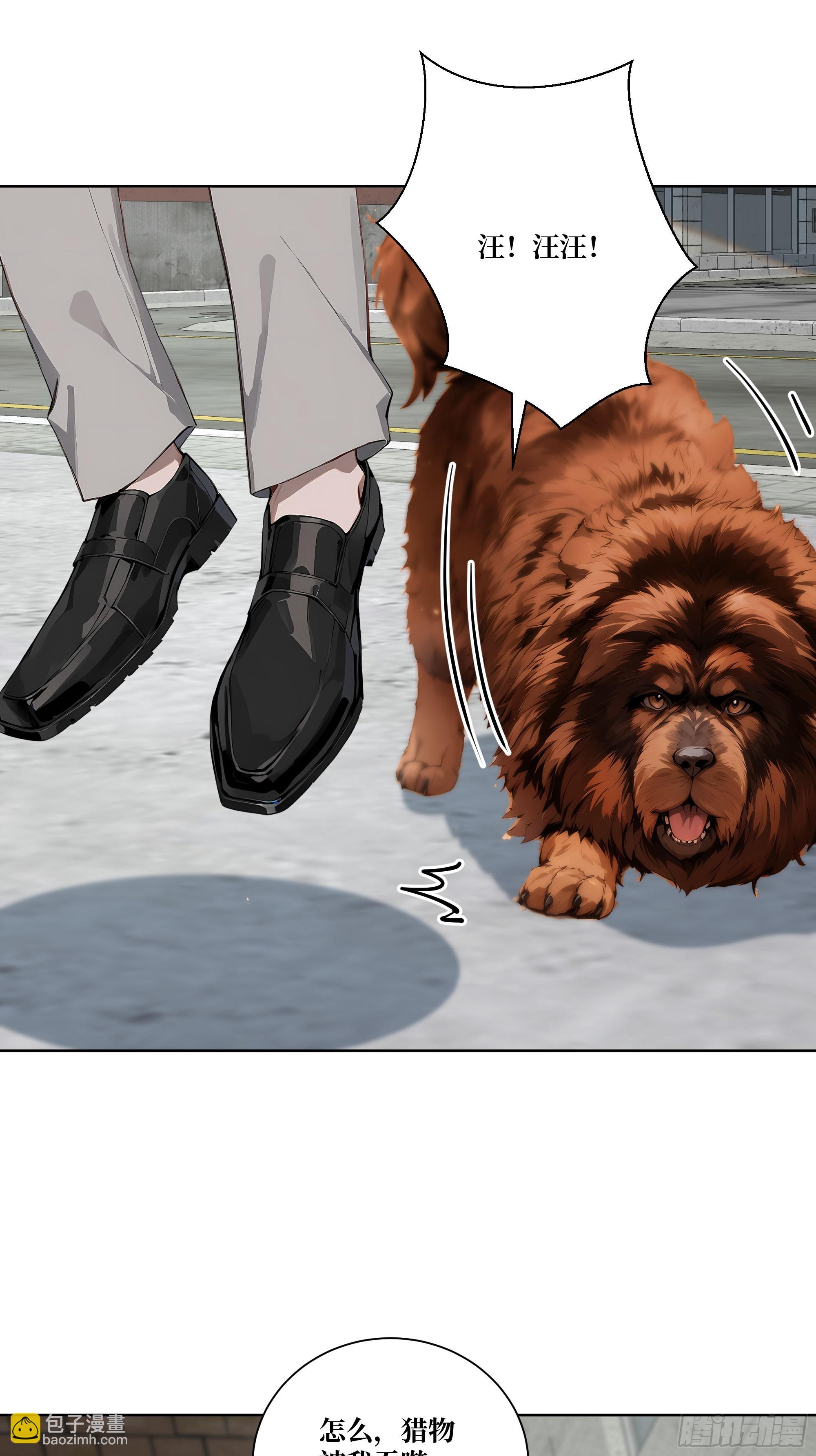 12  灵脉！(1/2)-第12话