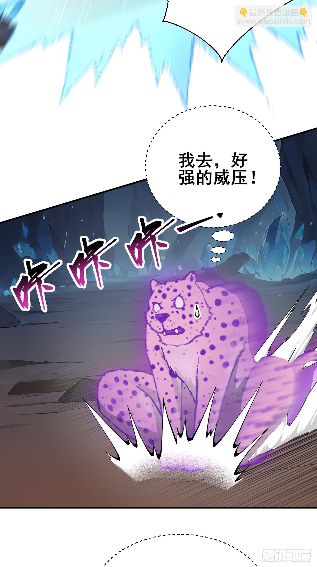 28 通灵兽(1/2)-第28话