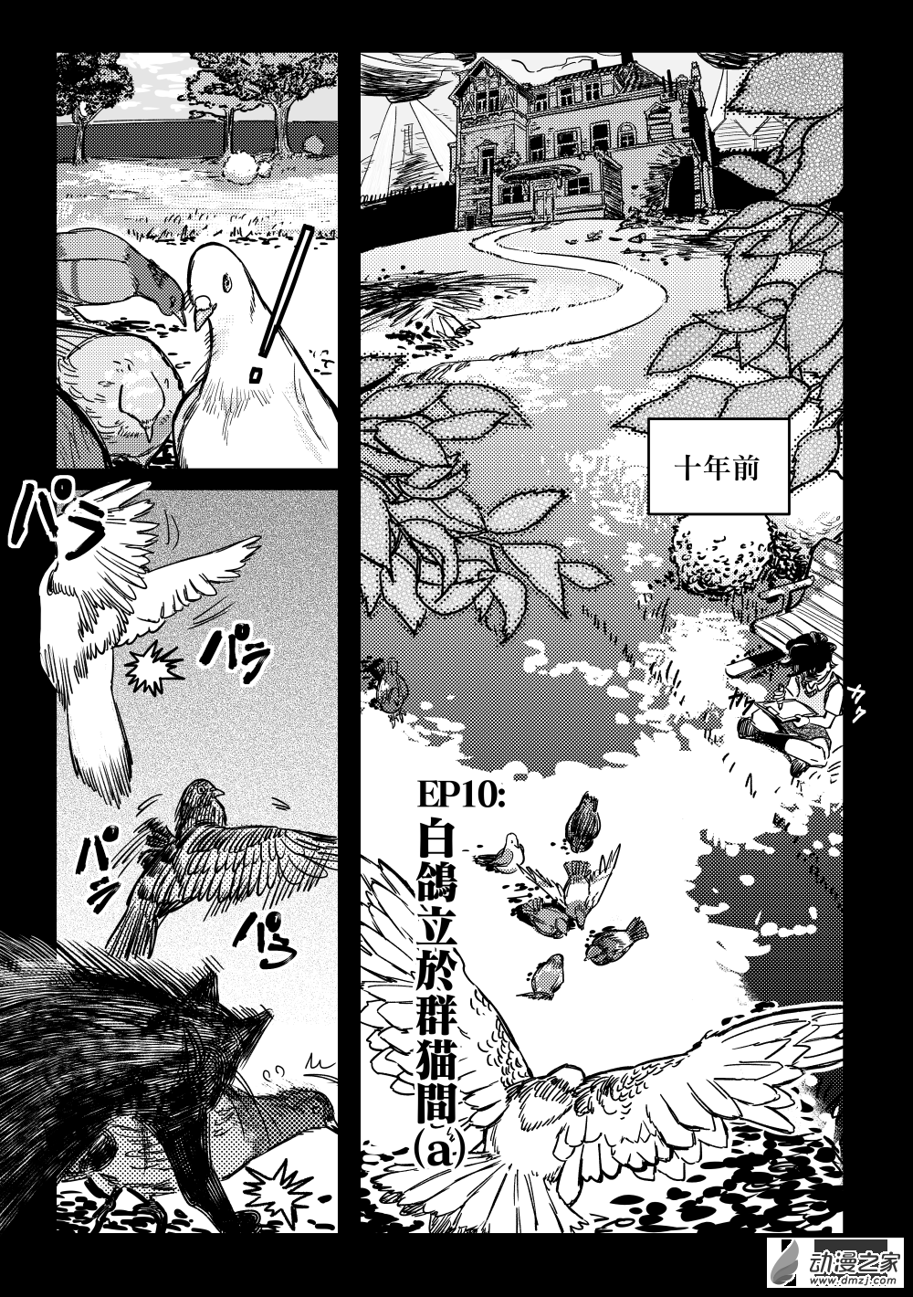 第10话 白鸽立于群猫间(a)①-第20话