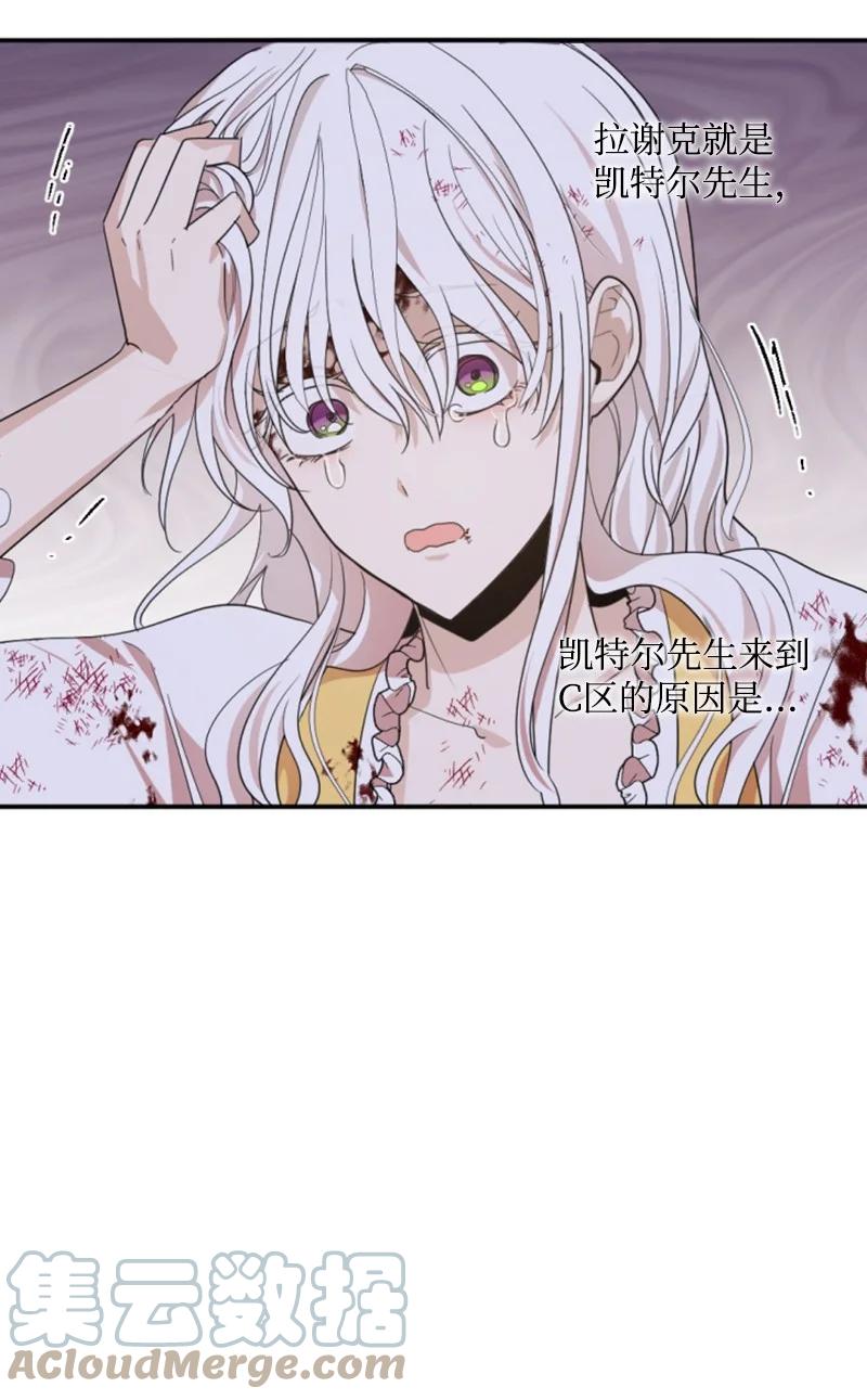 67 道出原委(1/2)-第68话