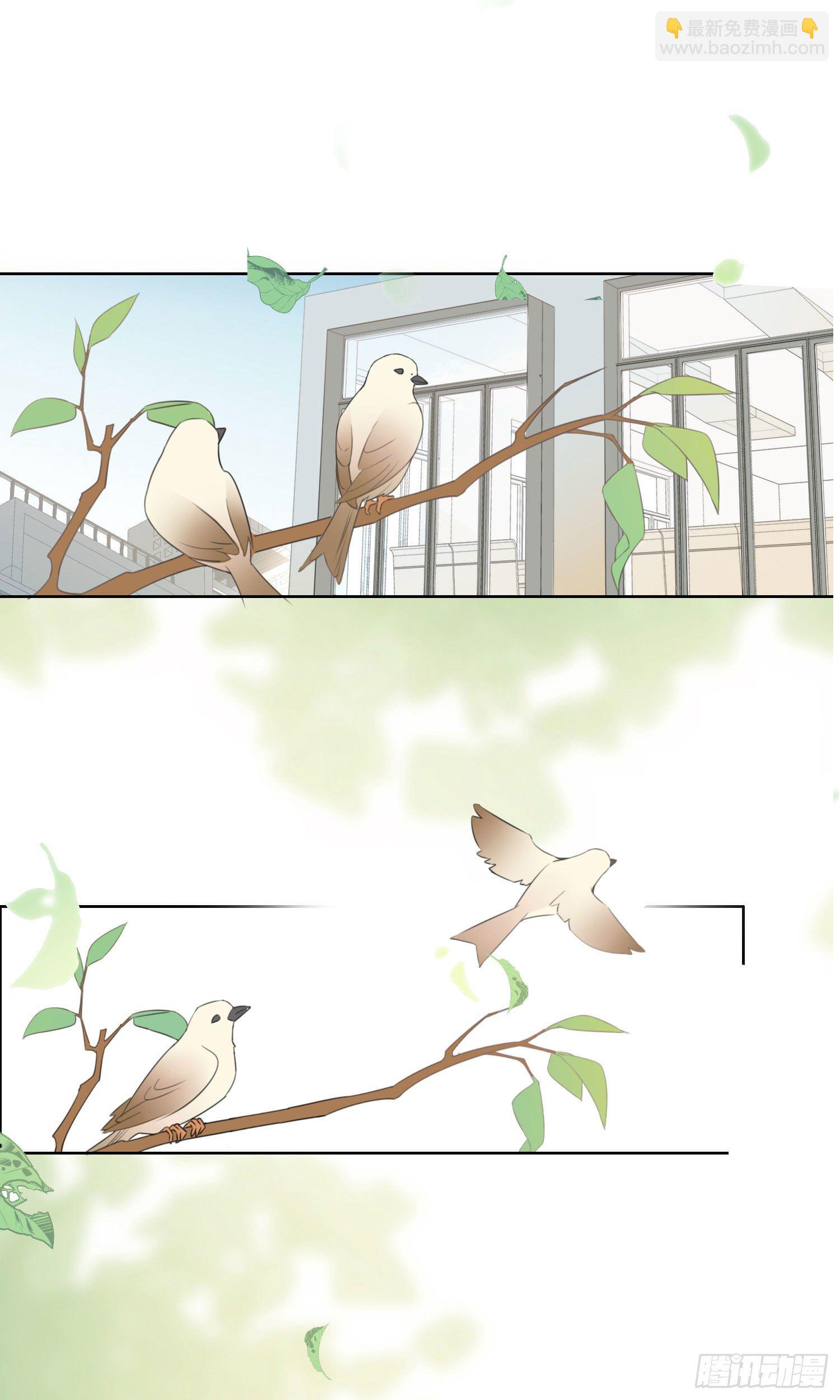 第63话 刻意的回避-第68话