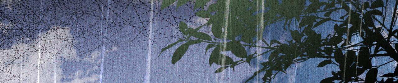 第23话 陆家千金(1/3)-第24话