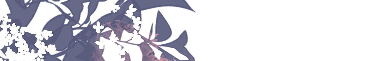 第25话 折腾人(1/3)-第26话