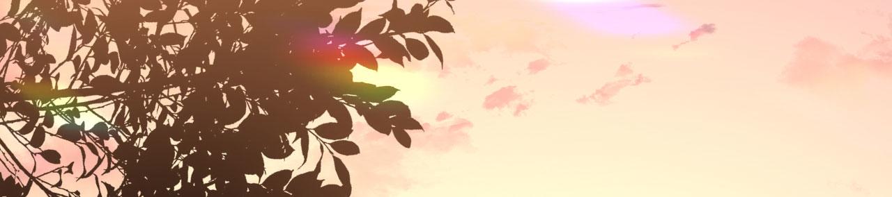 第29话 陆少爷出手(1/2)-第30话