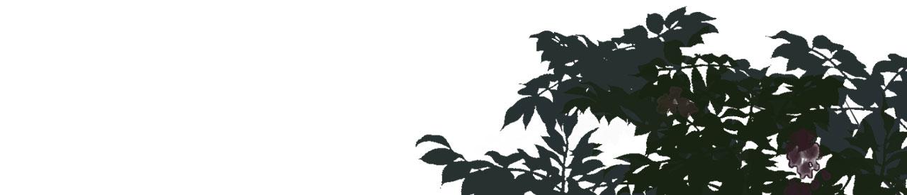 第39话 再进医院(1/3)-第40话