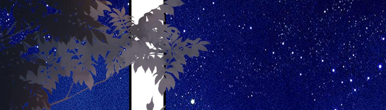 第63话 爱的惩戒(1/2)-第64话